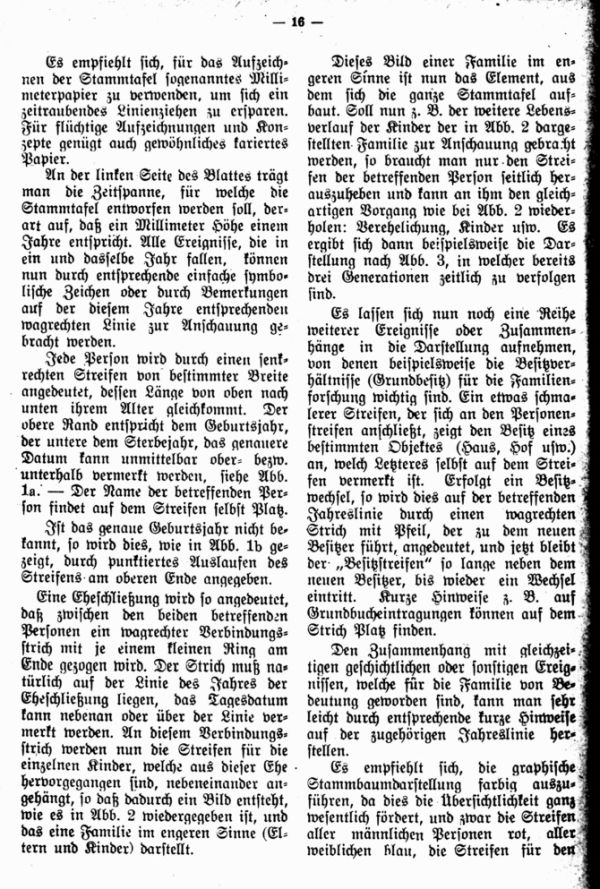 Die graphische Stammtafel - 3