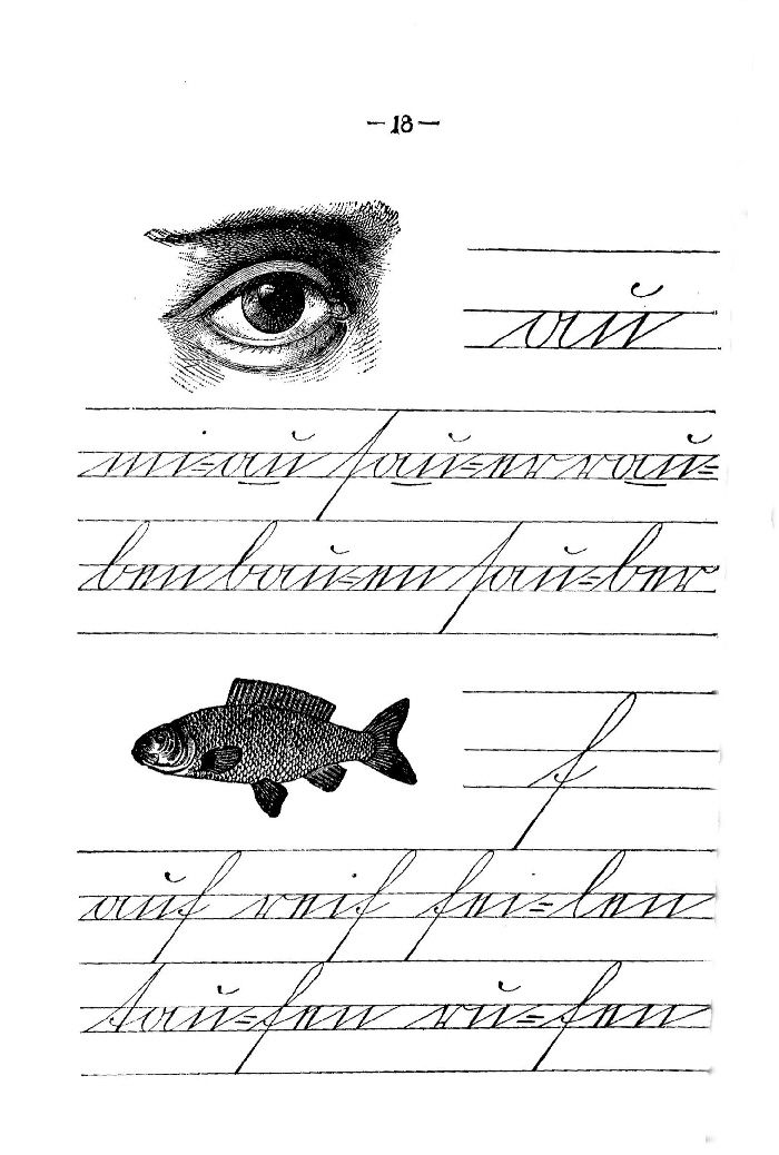 Deutsche Fibel -au / f (Schreibschrift)