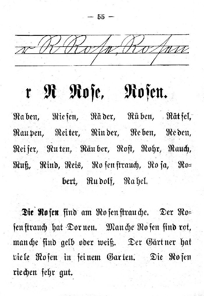 Deutsche Fibel -R (Schreibschrift /Druckschrift)