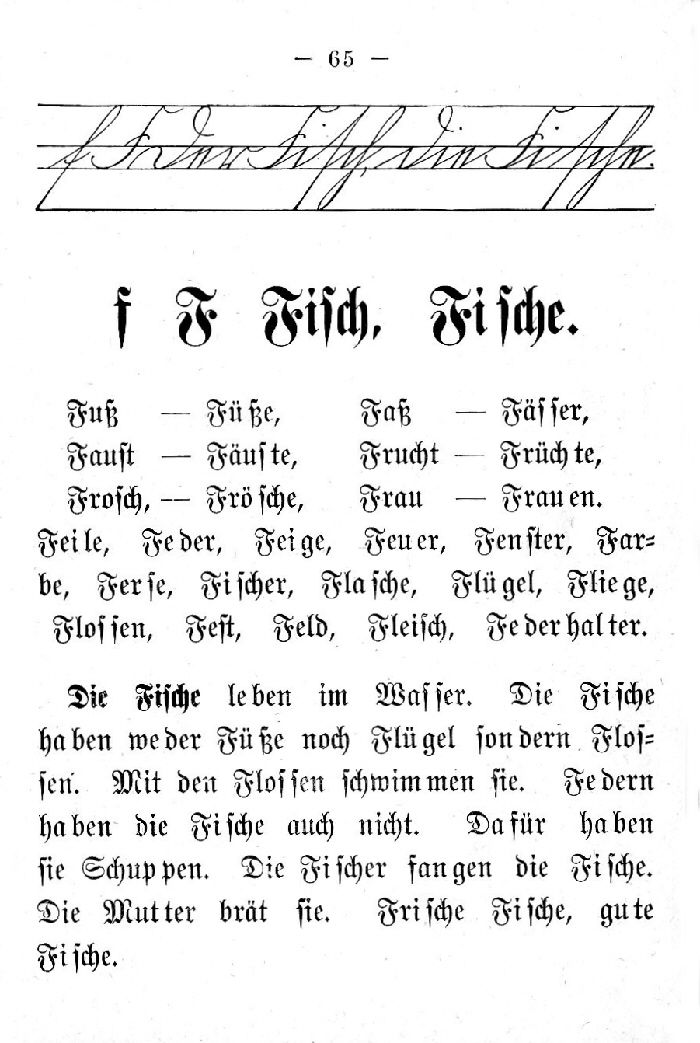 Deutsche Fibel -F (Schreibschrift /Druckschrift)
