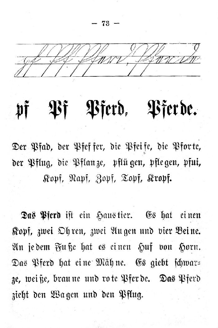 Deutsche Fibel -Pf (Schreibschrift /Druckschrift)