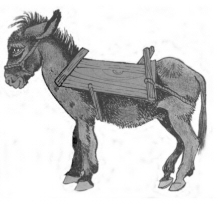 Bild eines Esels