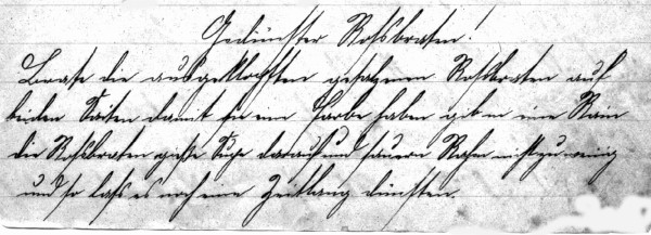 Rezept 'Gedünsteter Rossbraten'