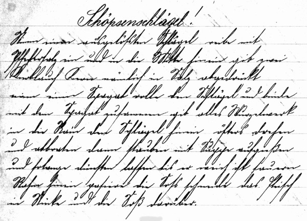 Rezept 'Schöpsenschlägel'