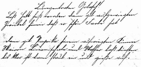 Rezept 'Lungenbraten Golasch'