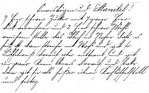 Rezept 'Anisbögen und Stanitzl'